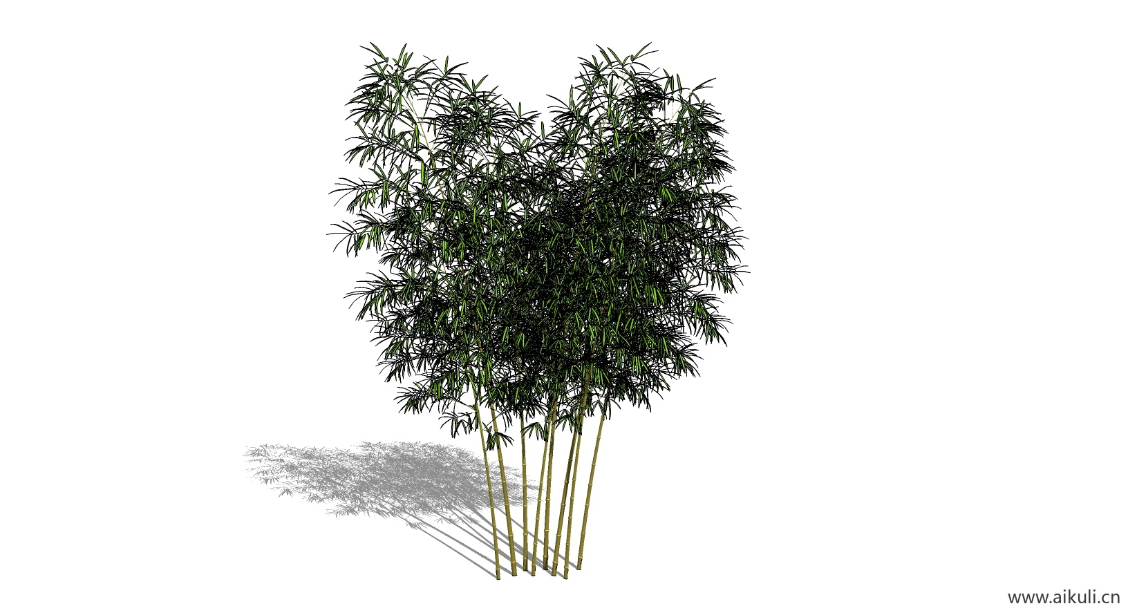 竹子 植物D-SU模型