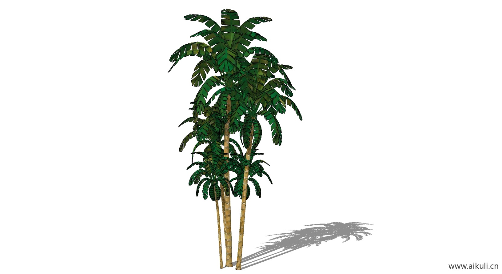 芭蕉植物A-SU模型