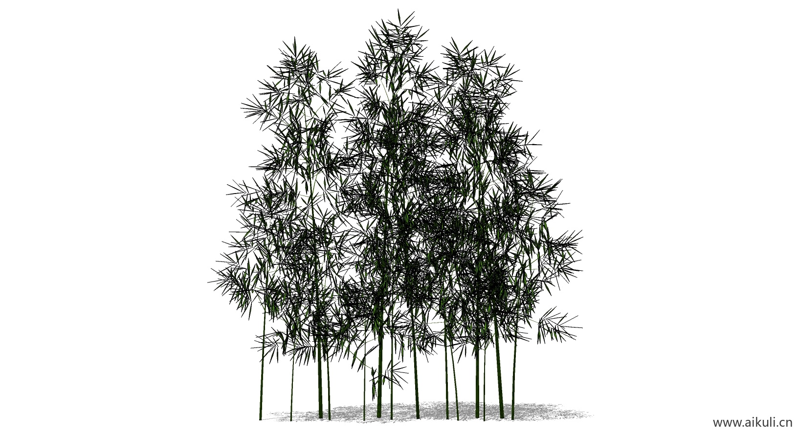 竹子 植物L-SU模型