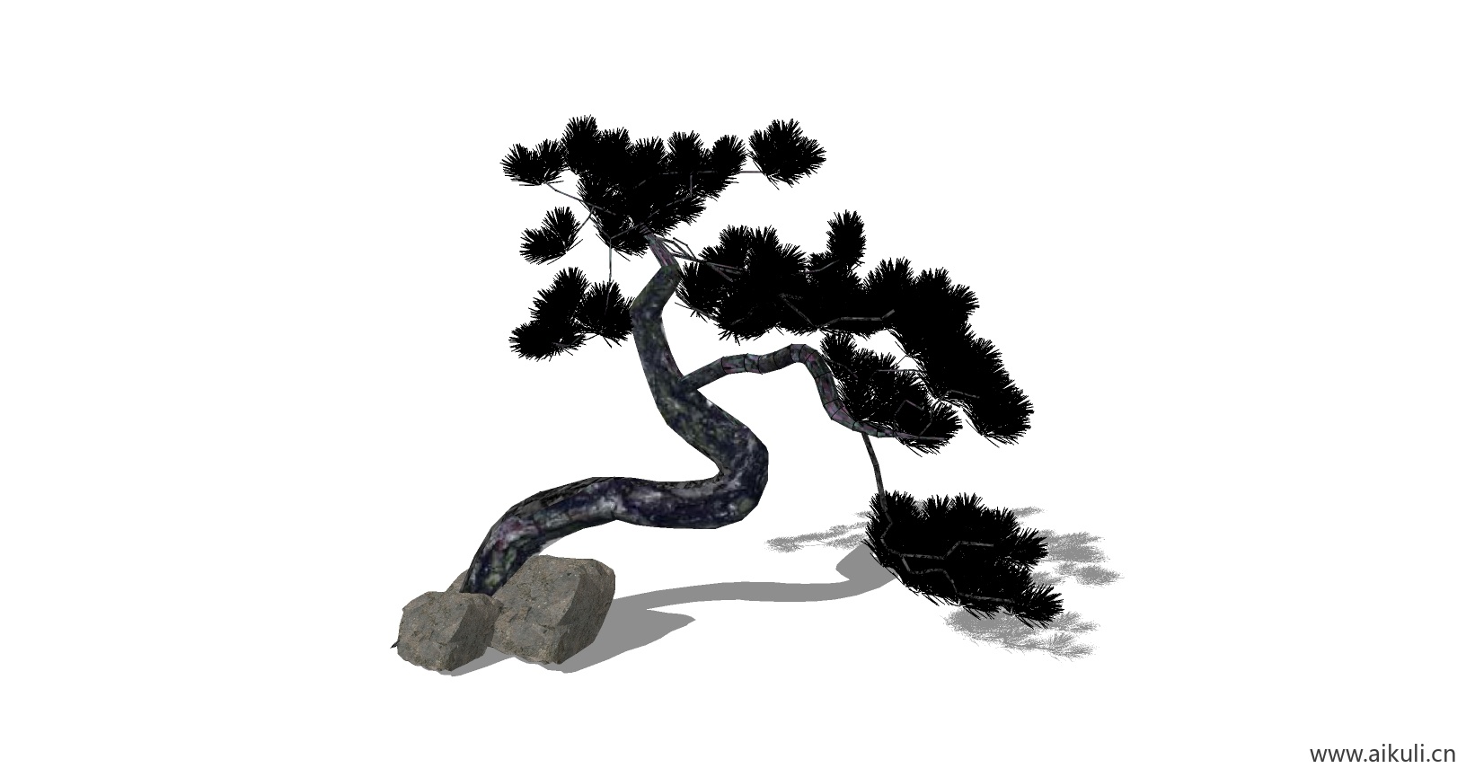 迎客松 植物B-SU模型