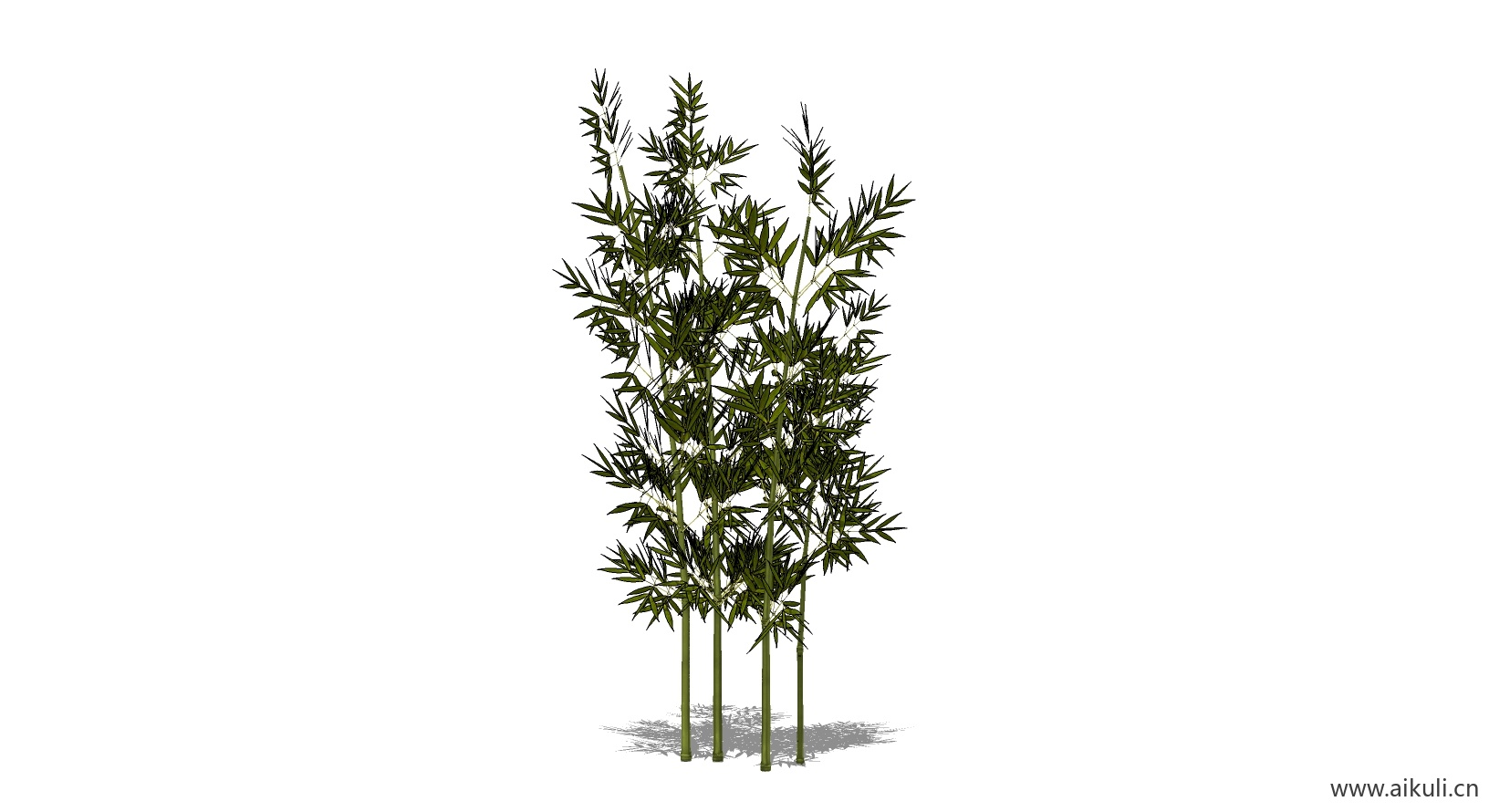 竹子 植物W-SU模型