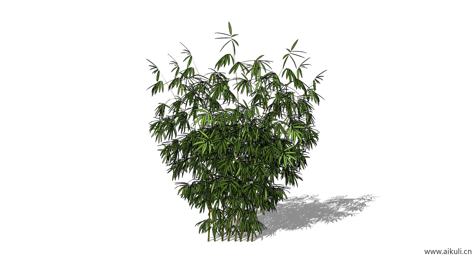 竹子 植物F-SU模型