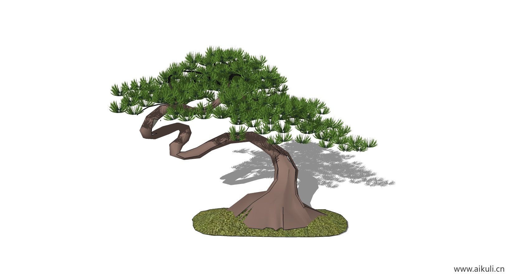 迎客松 植物A-SU模型