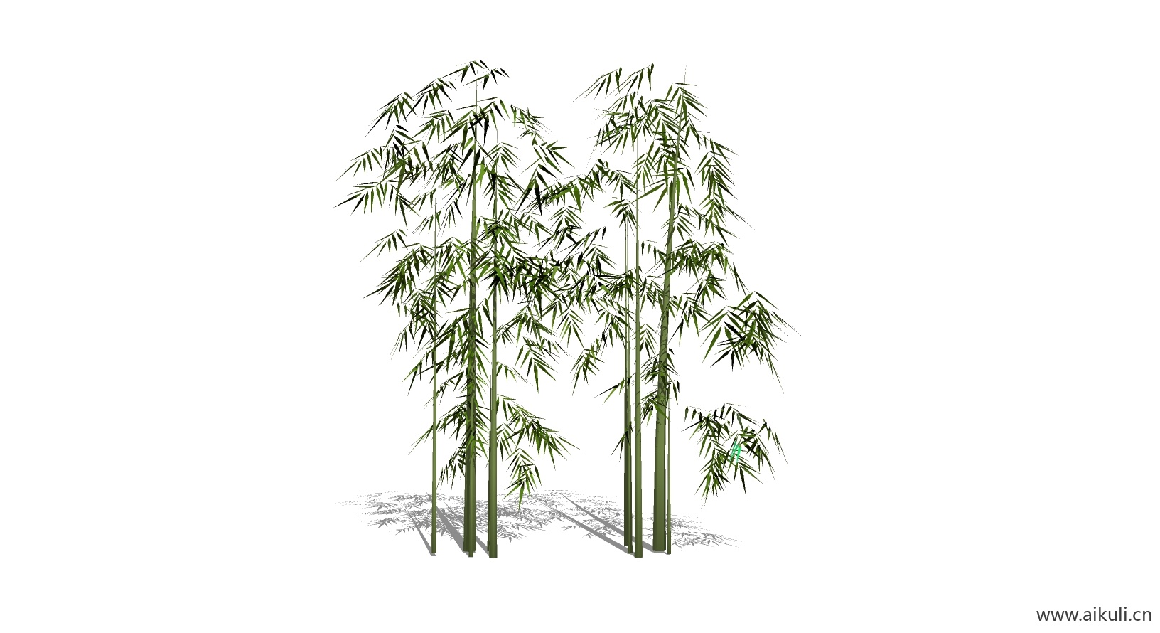 竹子 植物U-SU模型