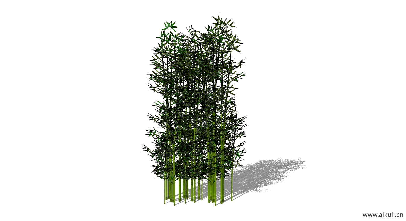 竹子 植物X-SU模型