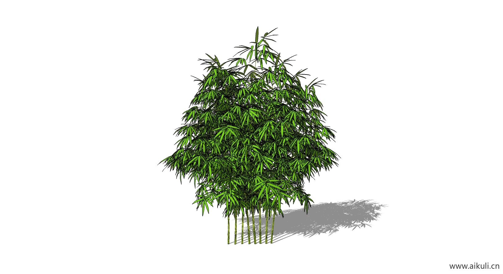 竹子 植物I-SU模型