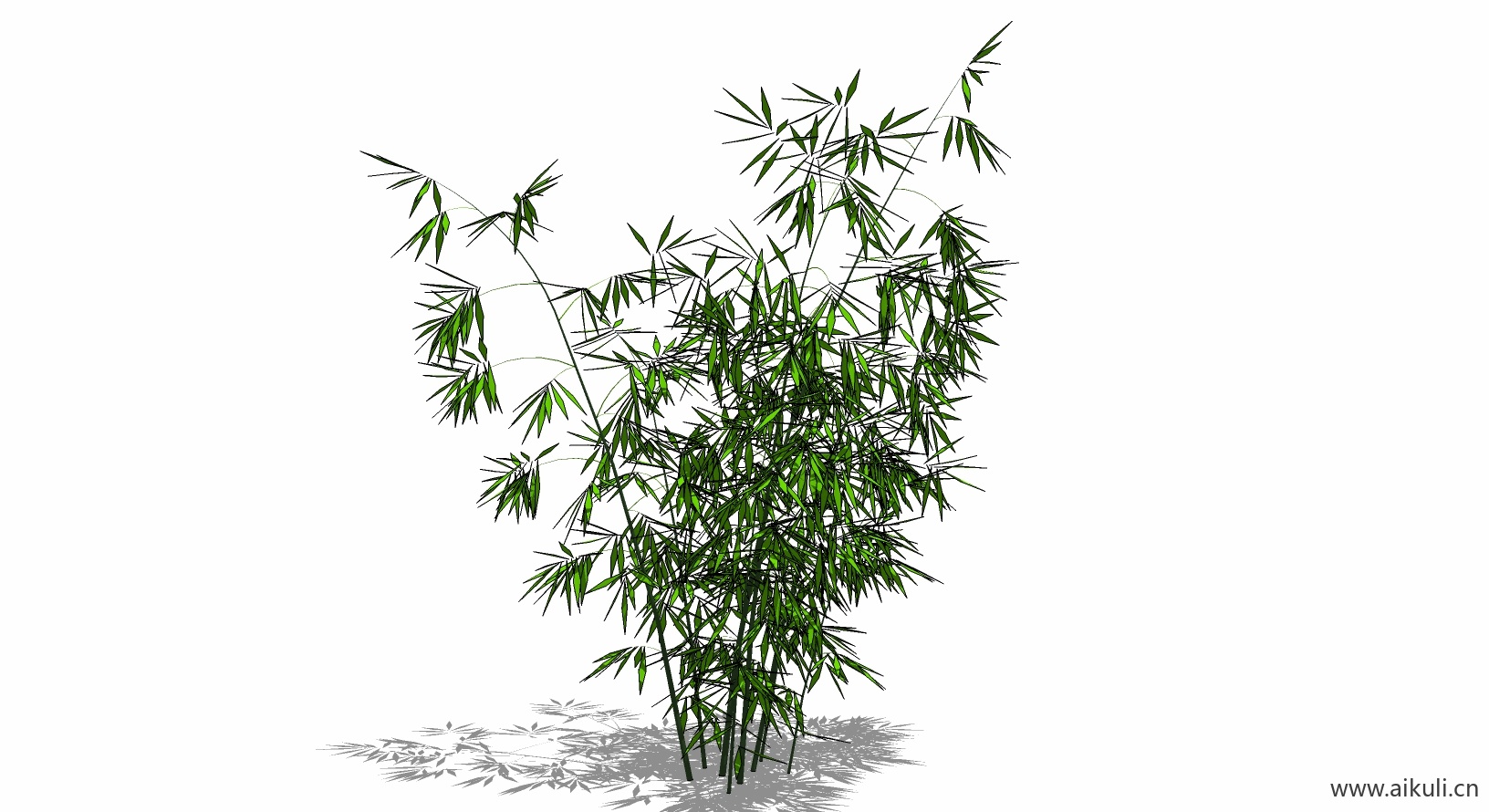 竹子 植物M-SU模型