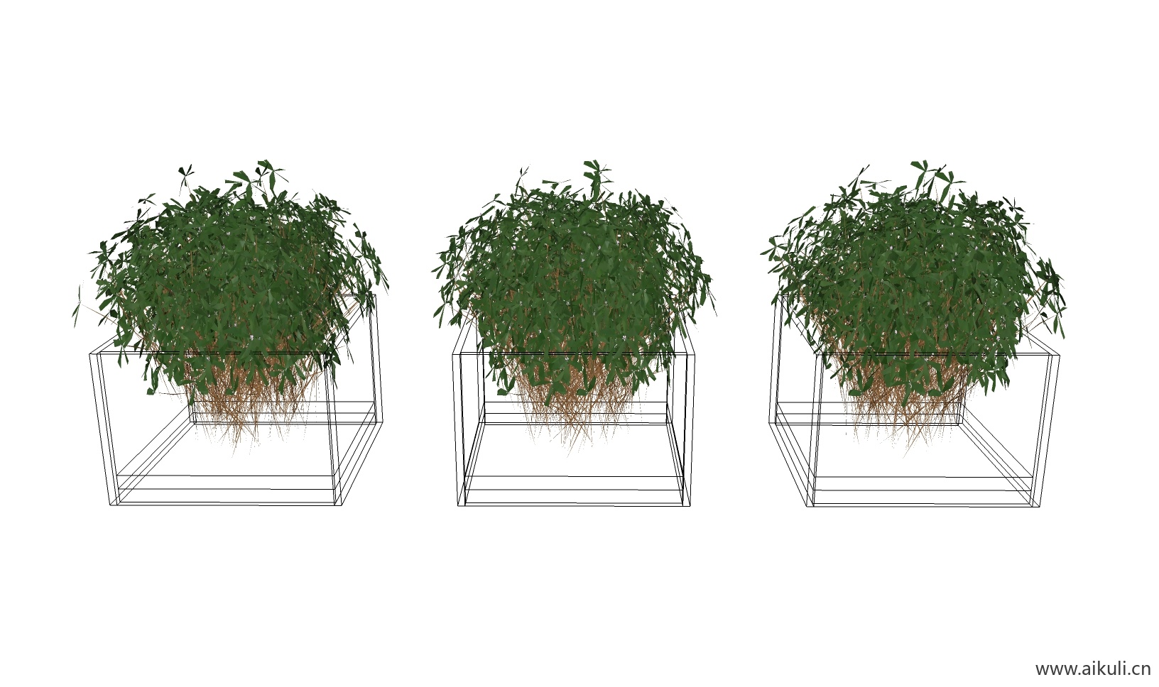 绿墙花架 拱门植物 植物墙 盆栽 盆景BX-su免费模型