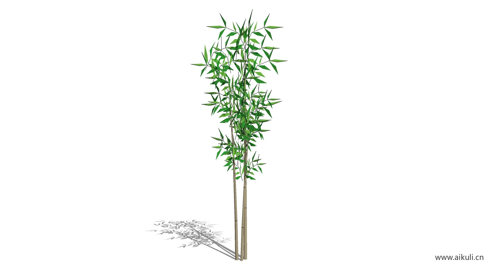 竹子 植物C-SU模型