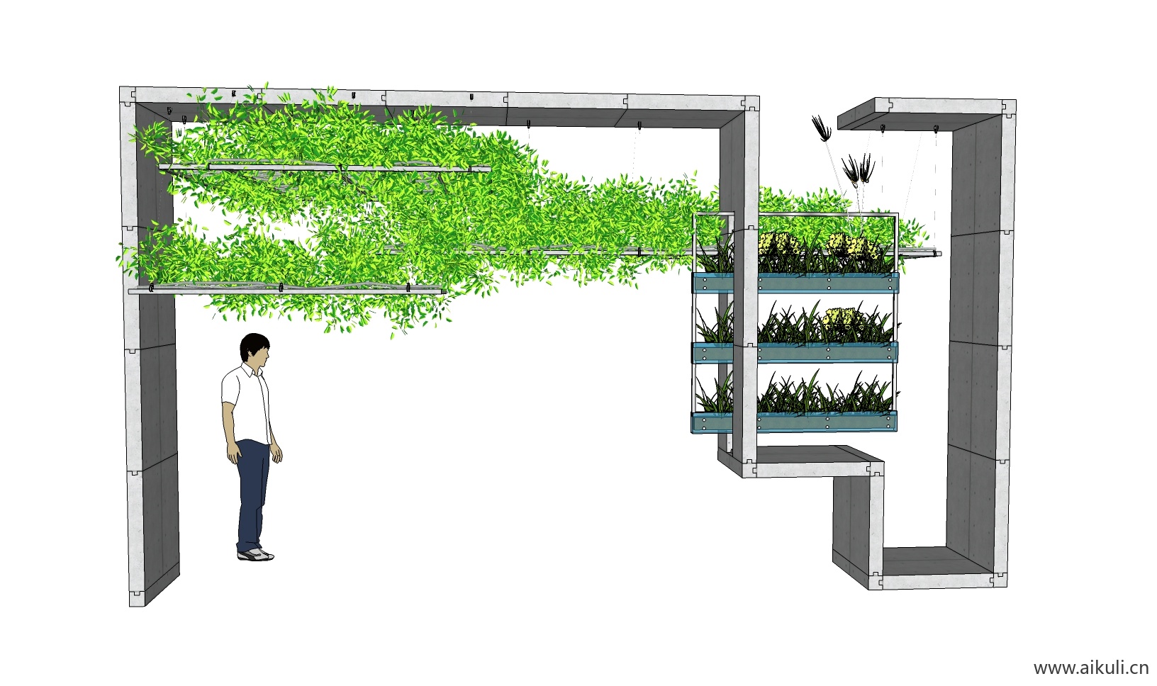 绿墙花架 拱门植物 植物墙 盆栽 盆景D-su免费模型