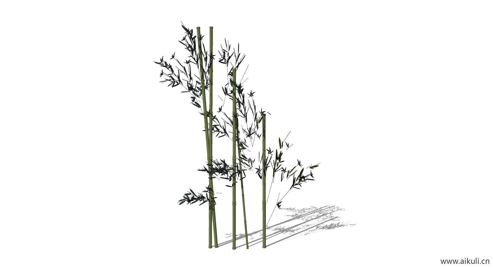 竹子 植物V-SU模型