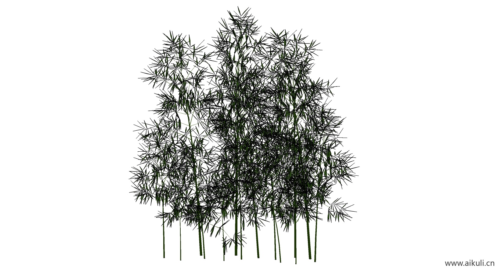 竹子 植物B-SU模型