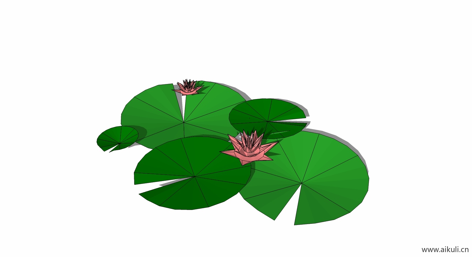 荷花莲花 植物B-SU模型