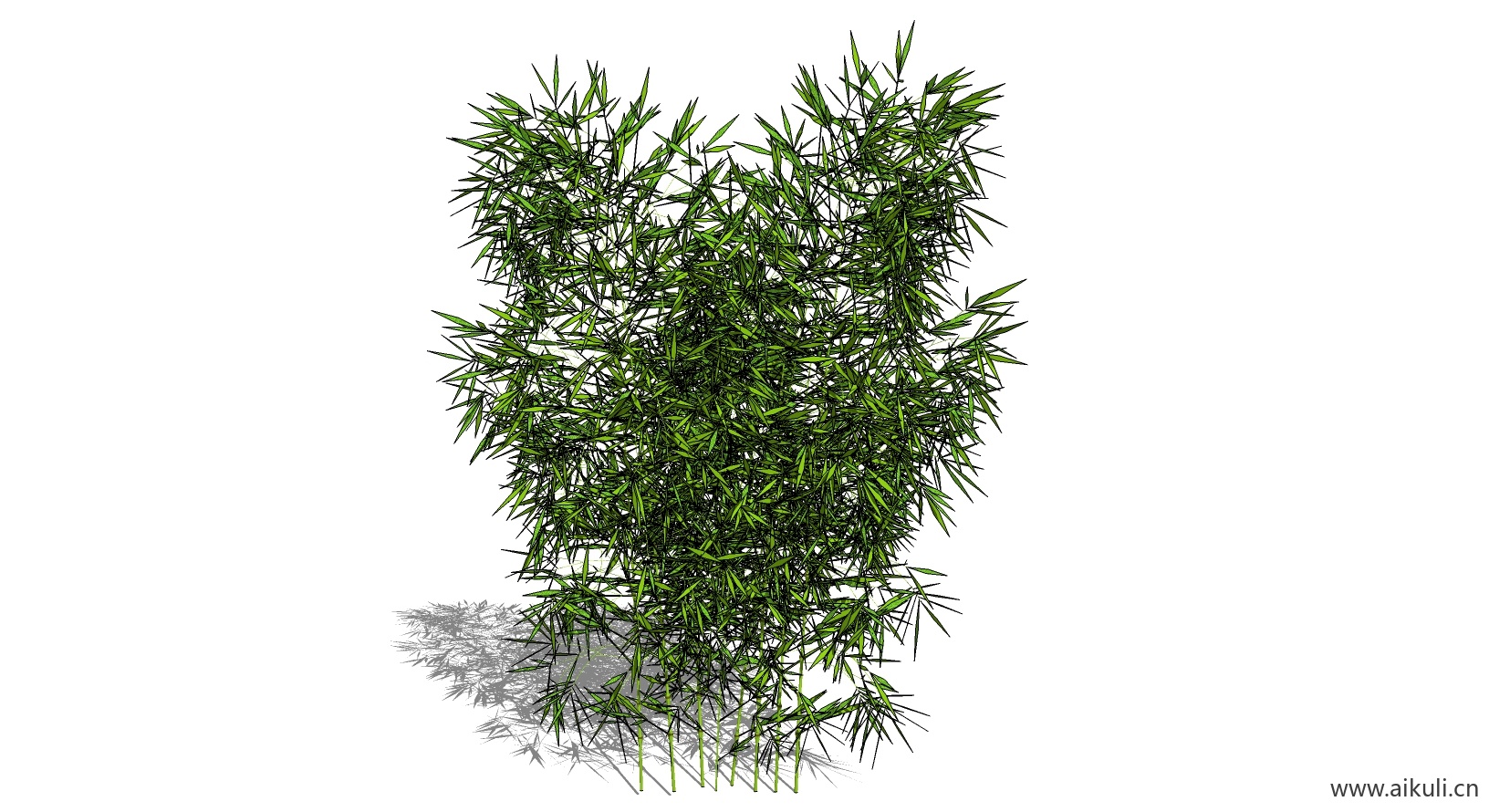 竹子 植物G-SU模型