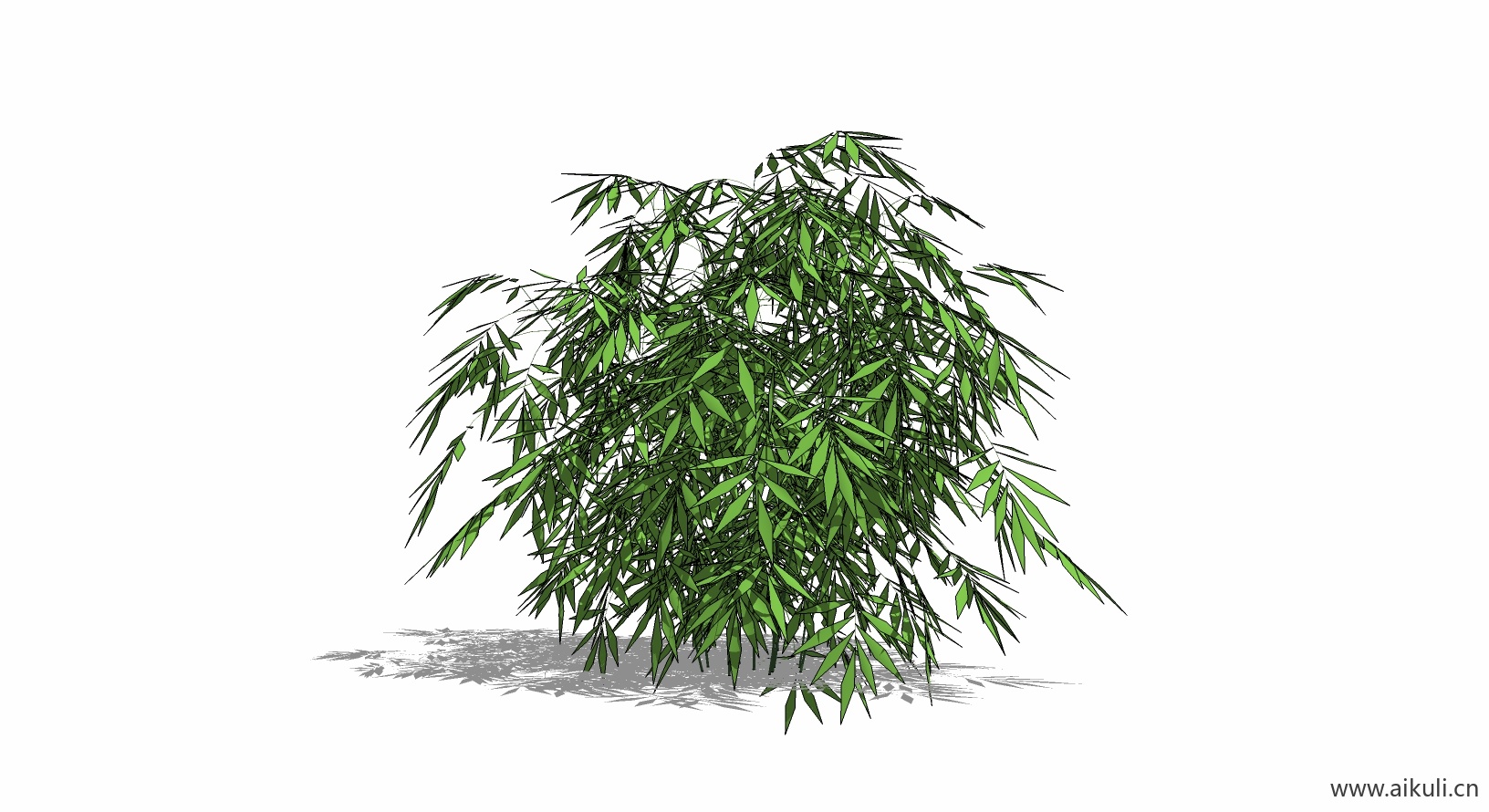 竹子 植物P-SU模型
