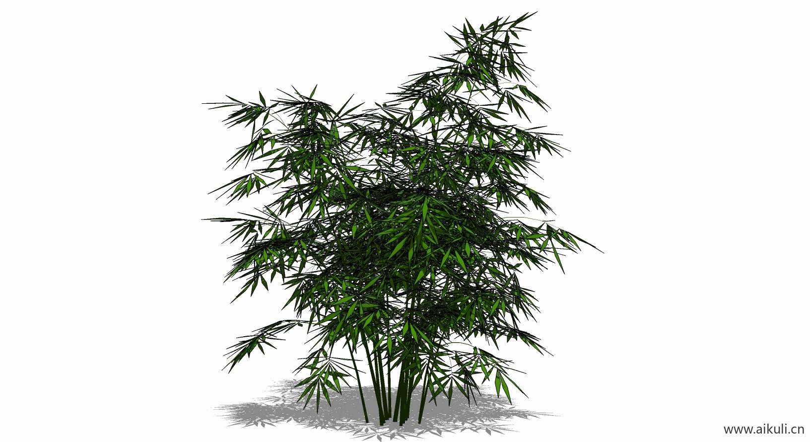 竹子 植物N-SU模型