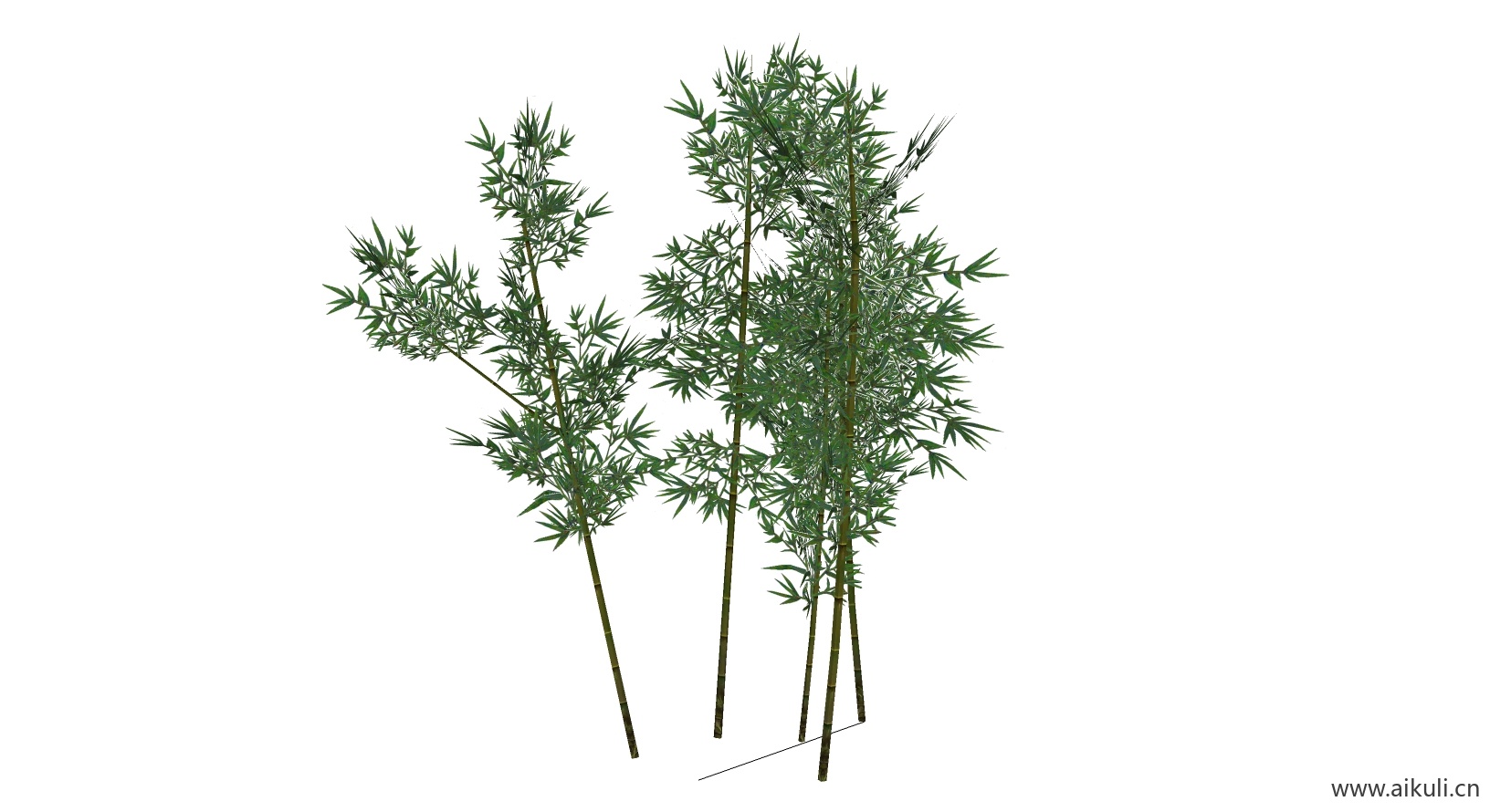 竹子 植物A-SU模型