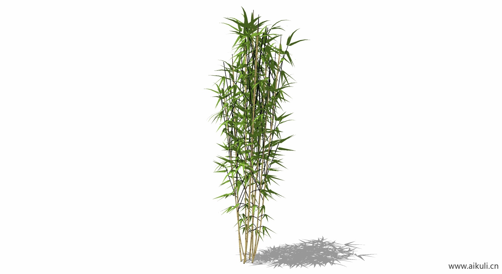 竹子 植物S-SU模型