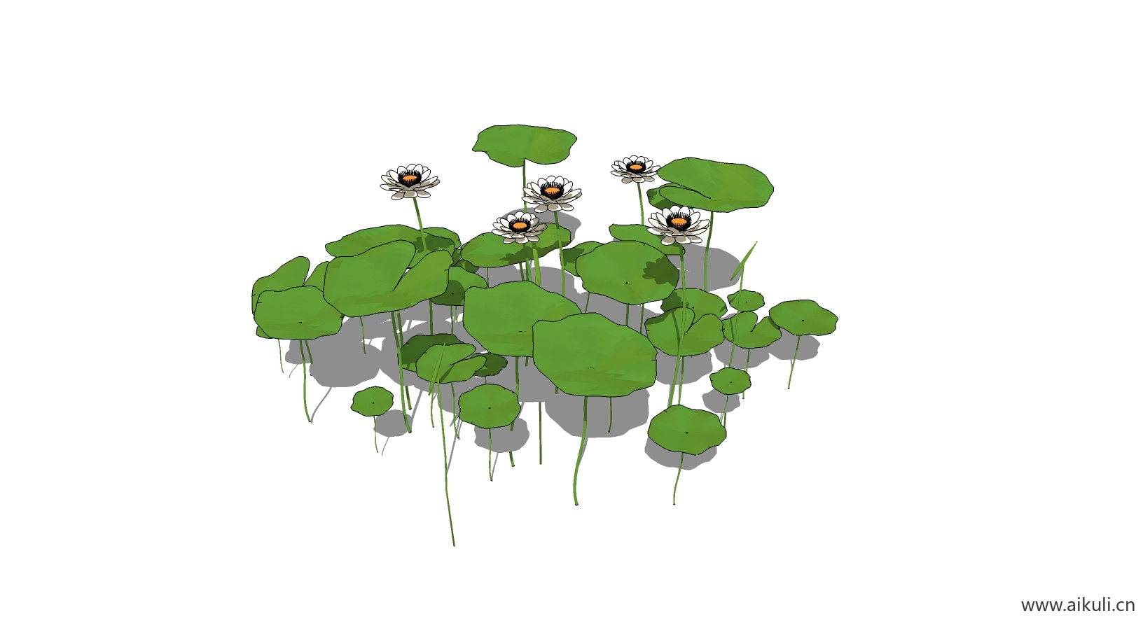 荷花莲花 植物J-SU模型