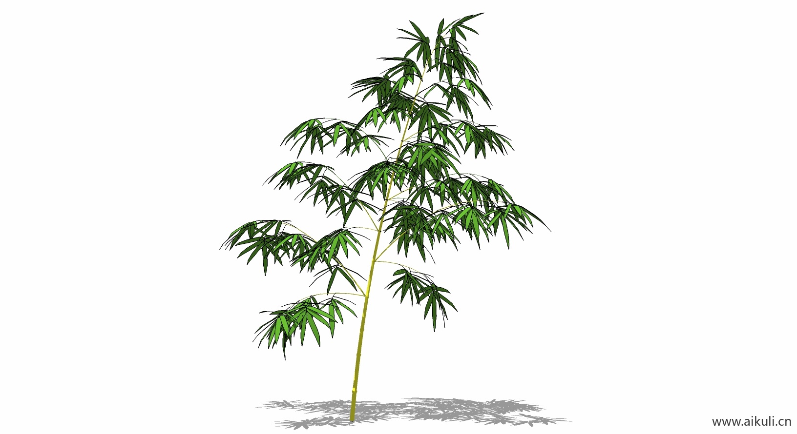 竹子 植物Q-SU模型
