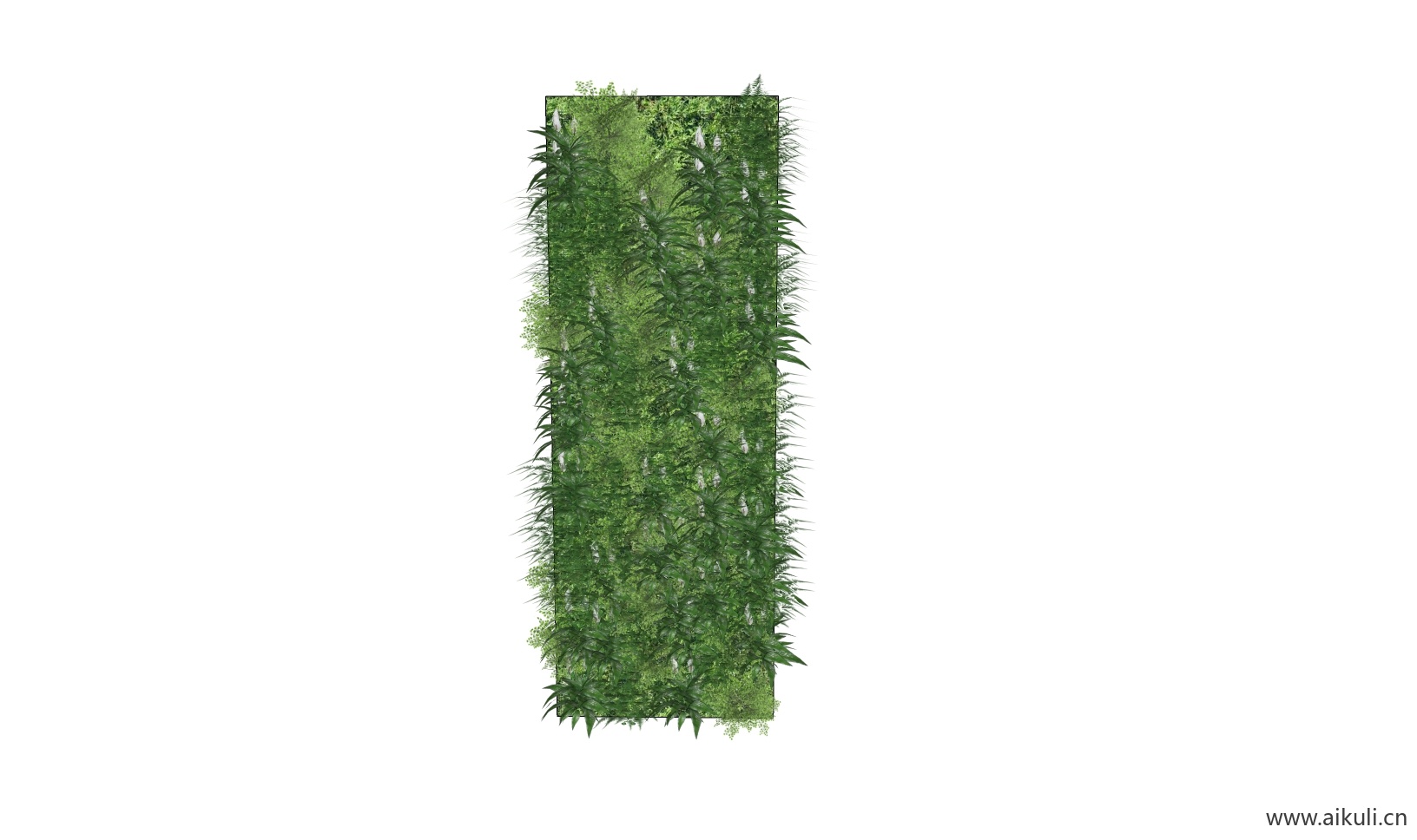 绿墙花架 拱门植物 植物墙 盆栽 盆景BE-su免费模型