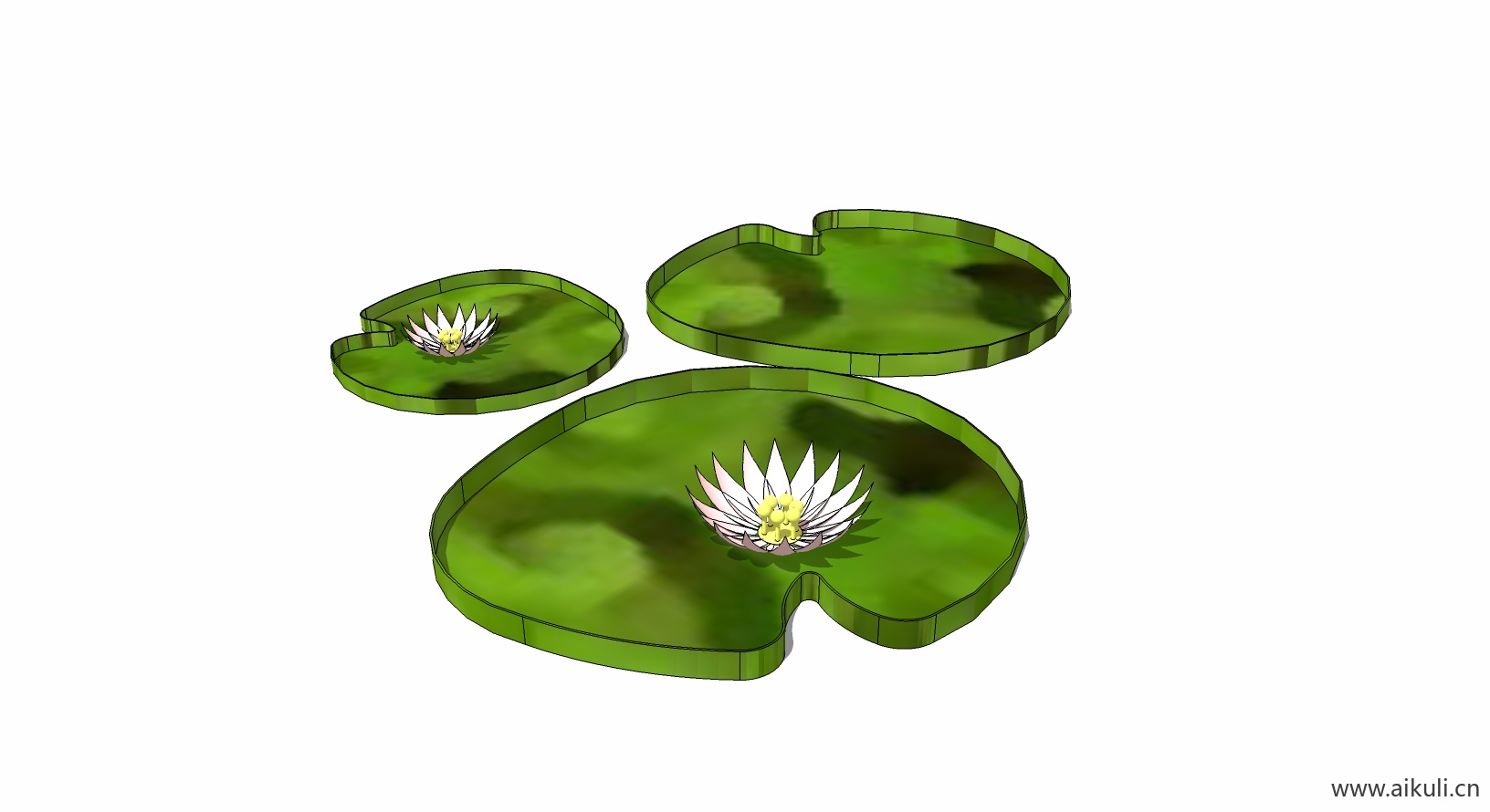 荷花莲花 植物D-SU模型