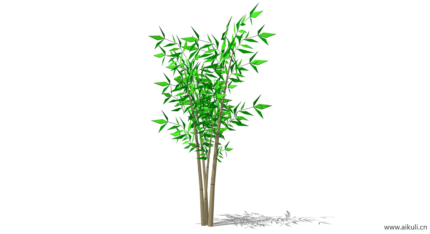 竹子 植物T-SU模型