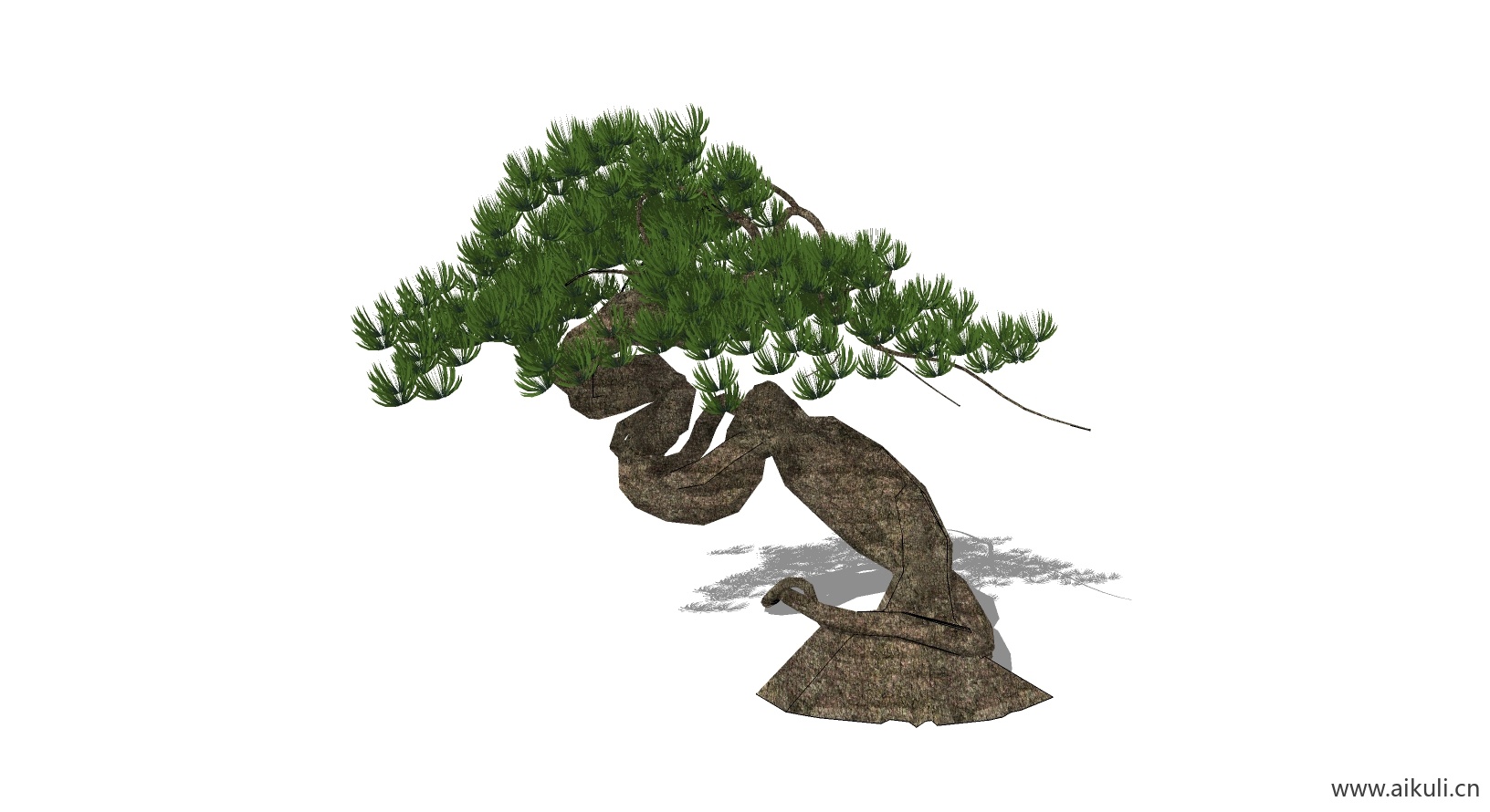 迎客松 植物D-SU模型