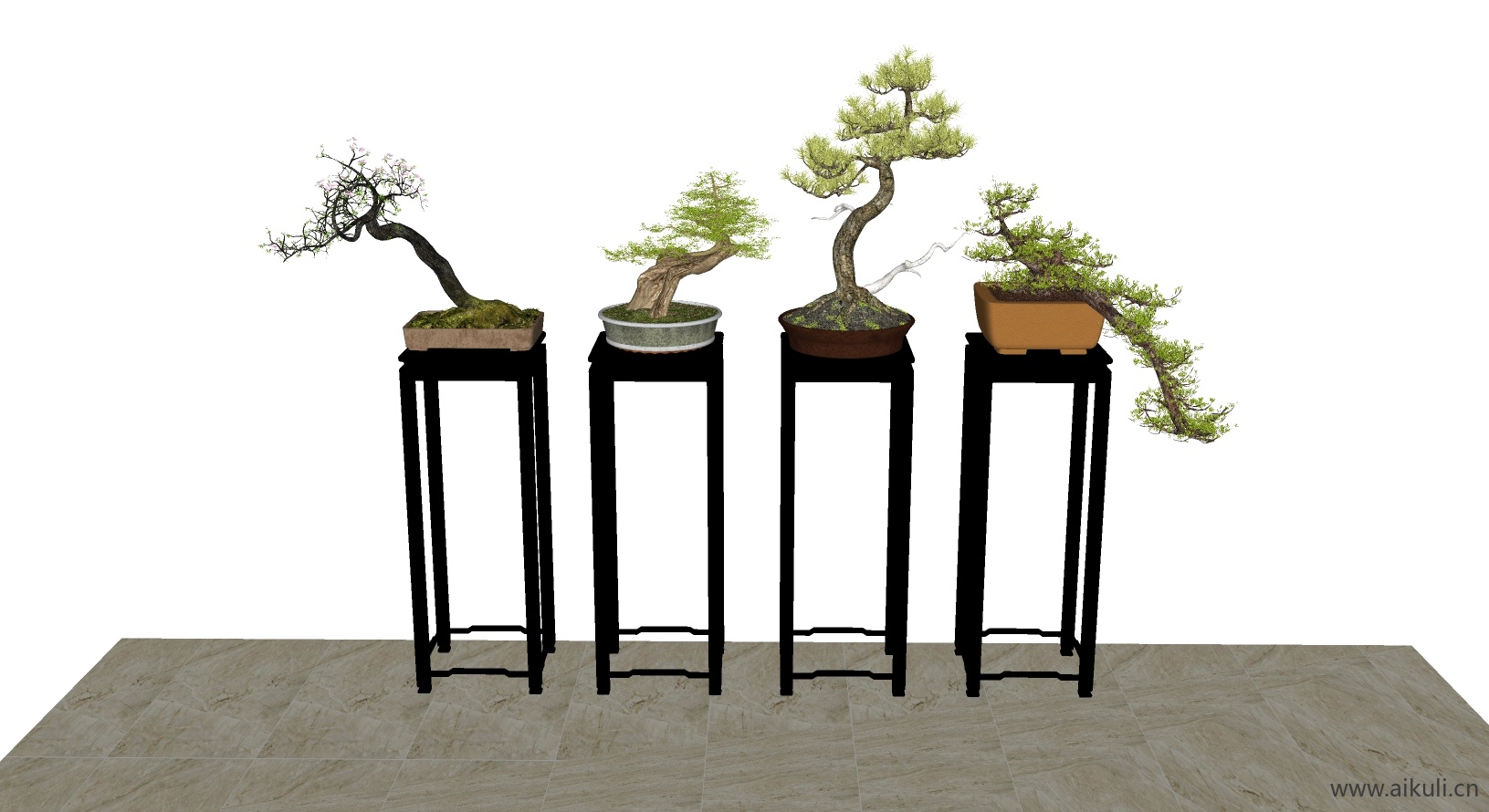 罗汉松中国风盘景 (9SU模型