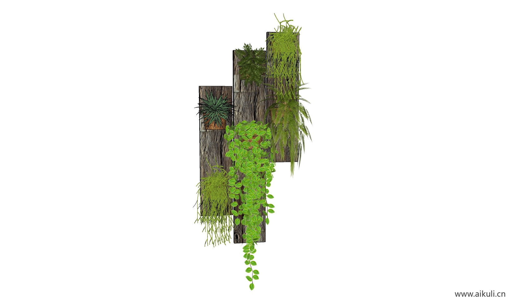 绿墙花架 拱门植物 植物墙 盆栽 盆景BF-su免费模型