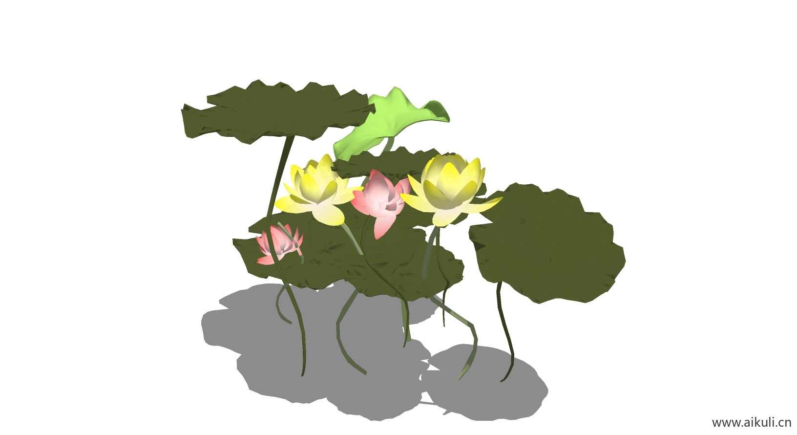 荷花莲花 植物G-SU模型