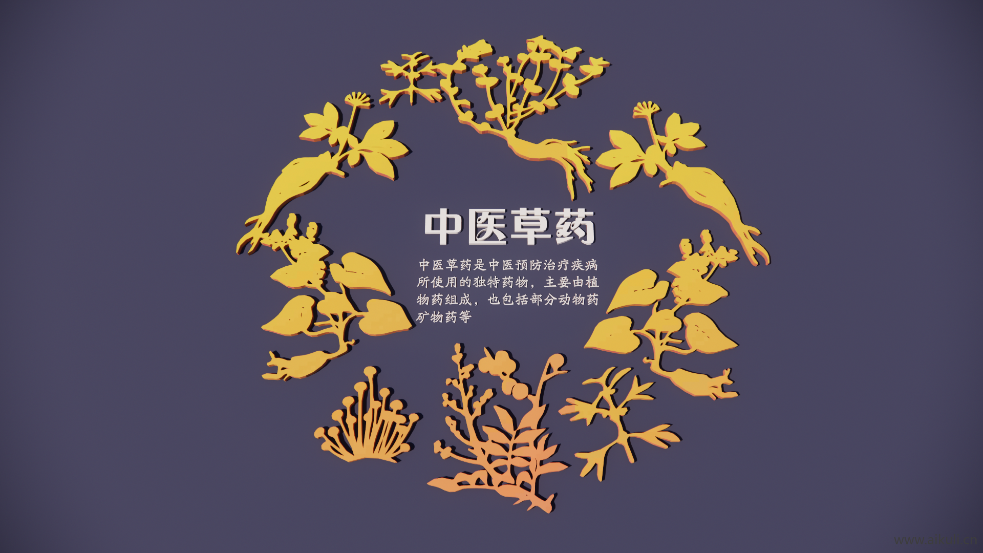 现代2D中医草药剪影