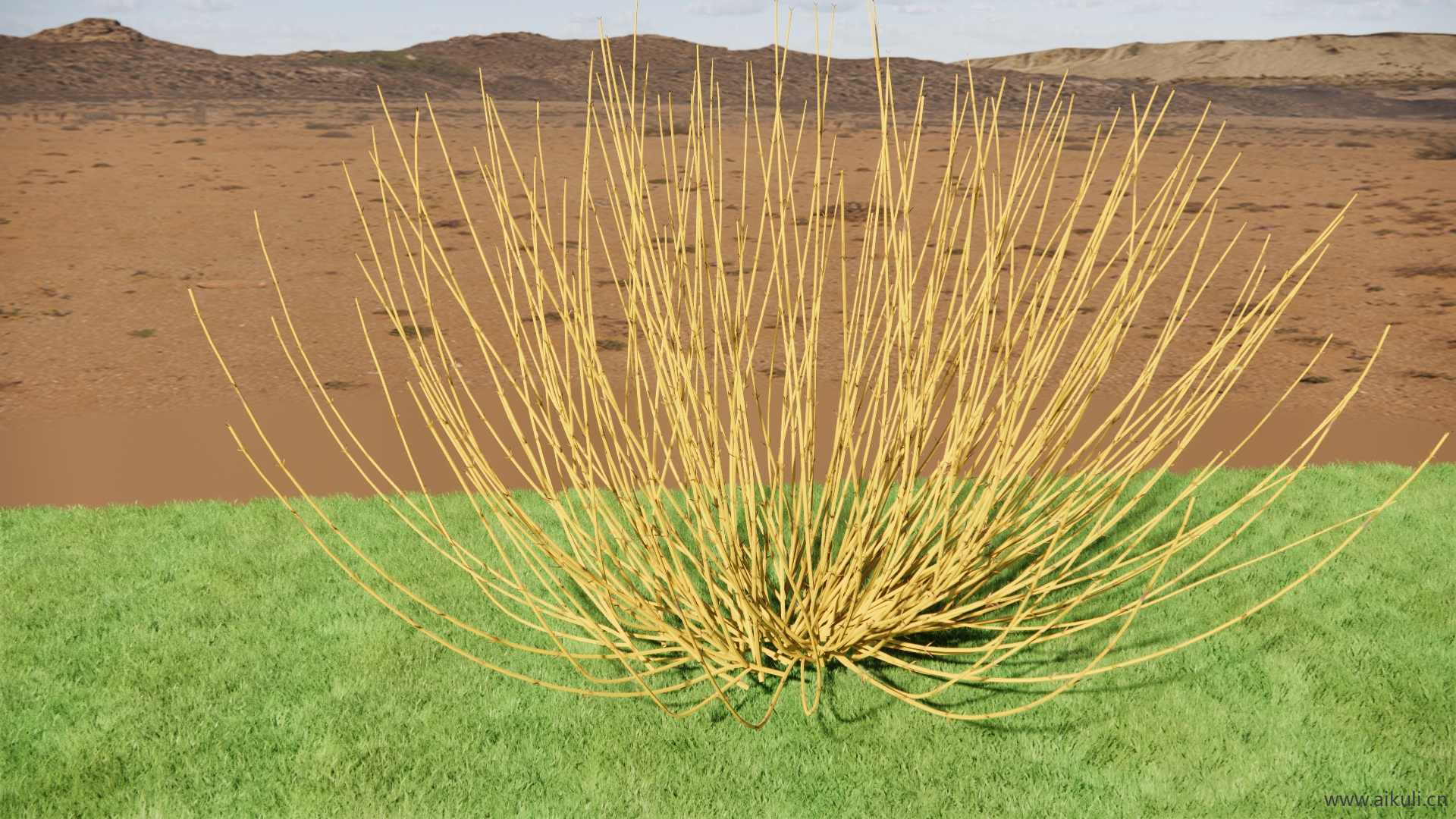 黄色红枝狗牙木SU模型