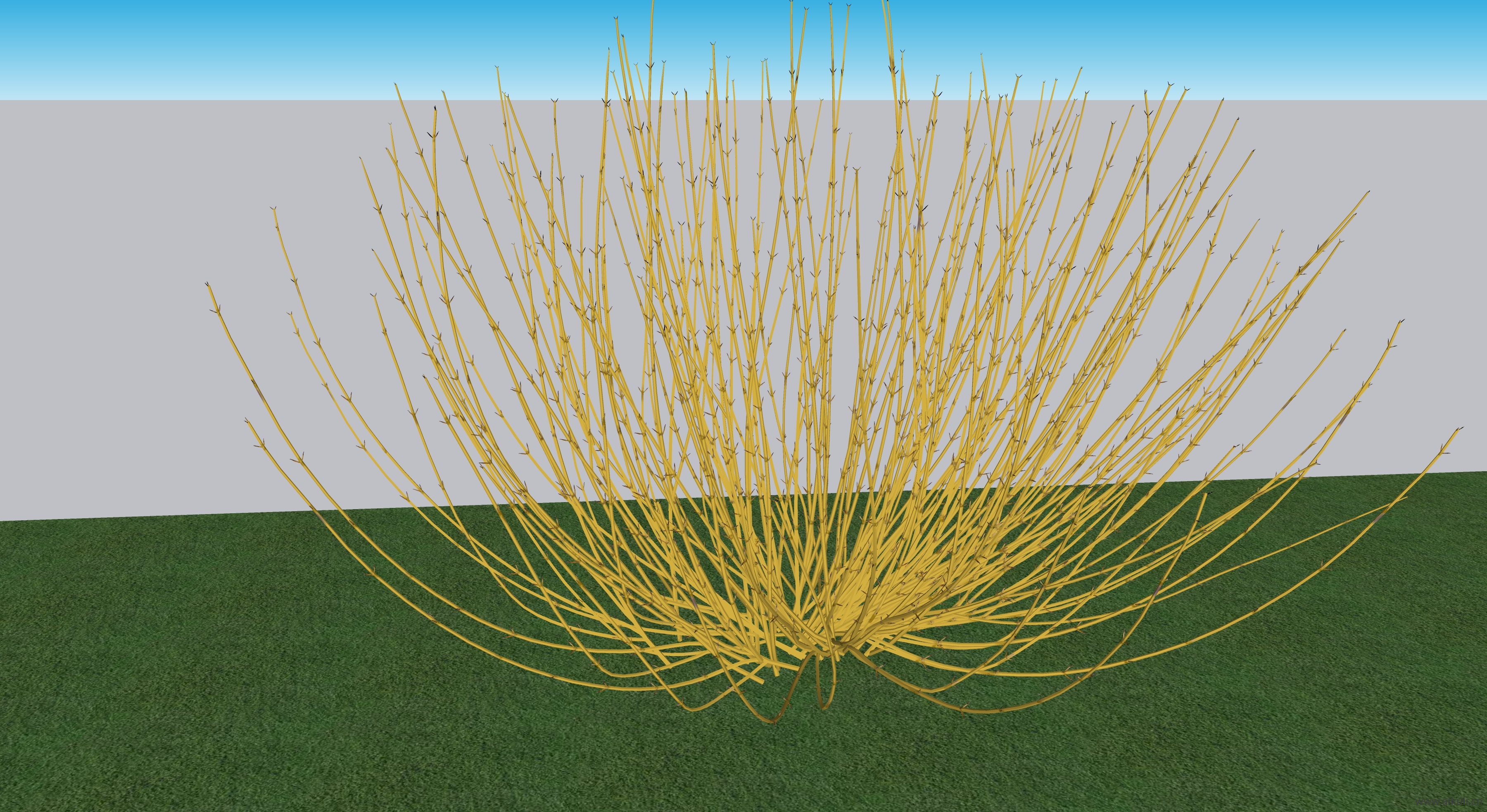 黄色红枝狗牙木SU模型