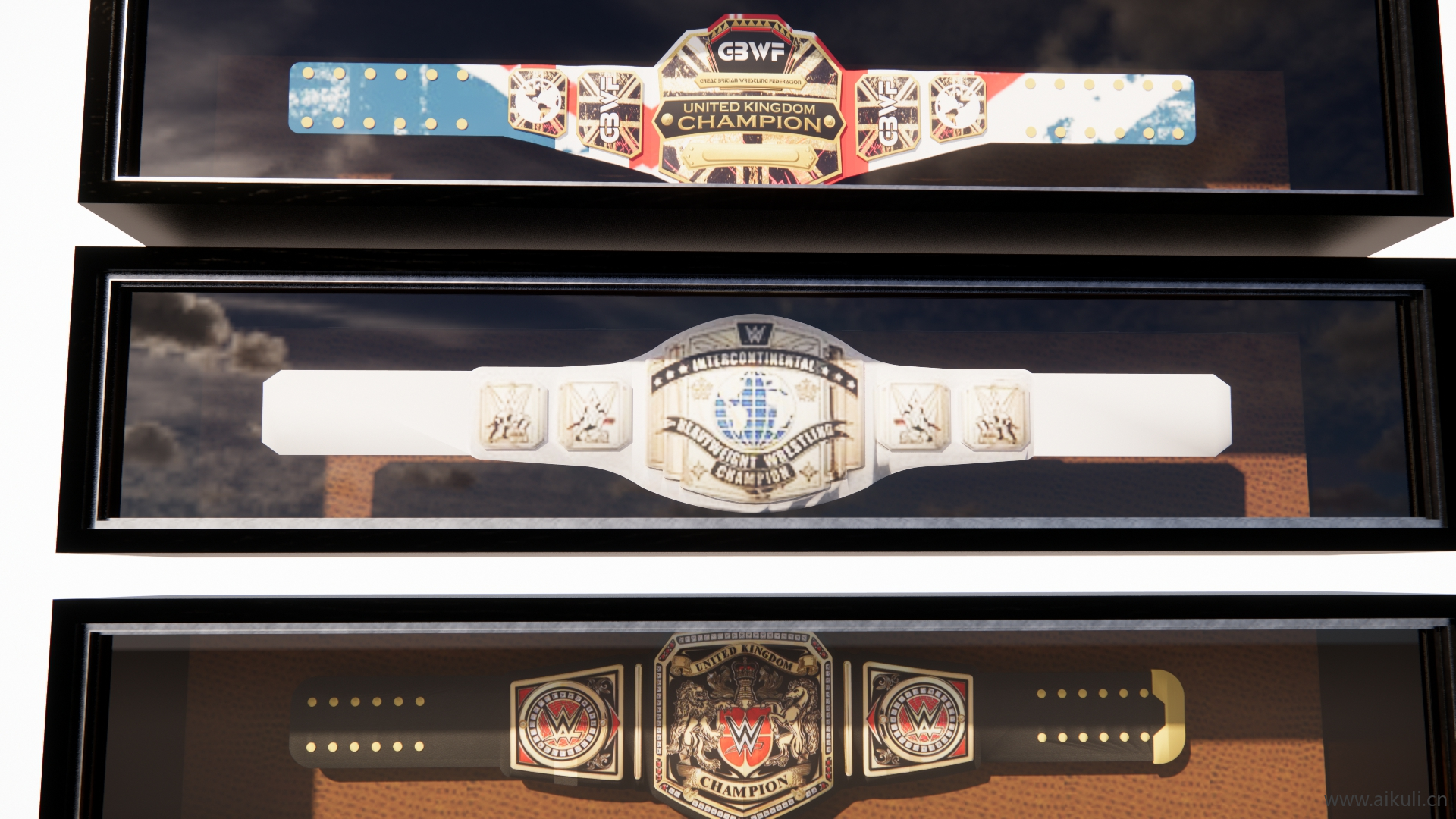 武术腰带 世界摔跤娱乐 综合格斗